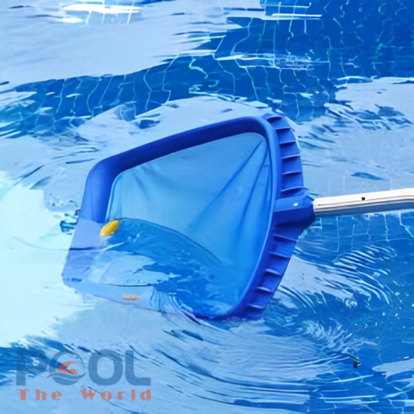 Top 5 mẹo bảo quản vợt lá cây nông lòng để sử dụng lâu dài